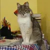 Отзыв от Катюша Горячева